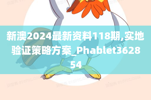 新澳2024最新资料118期,实地验证策略方案_Phablet362854