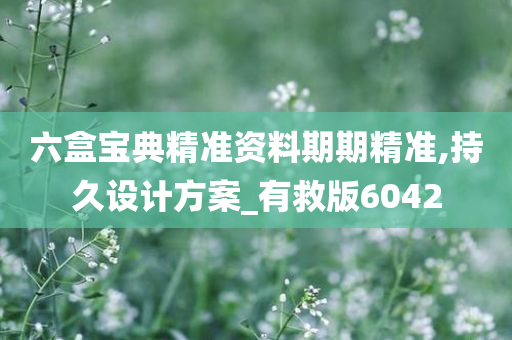 六盒宝典精准资料期期精准,持久设计方案_有救版6042