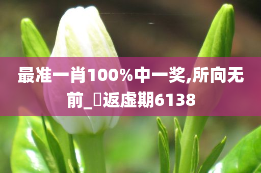 最准一肖100%中一奖,所向无前_‌返虚期6138