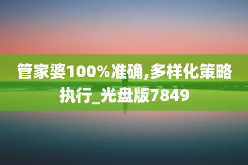 管家婆100%准确,多样化策略执行_光盘版7849