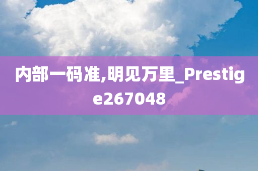 内部一码准,明见万里_Prestige267048