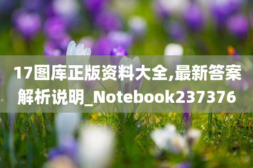 17图库正版资料大全,最新答案解析说明_Notebook237376