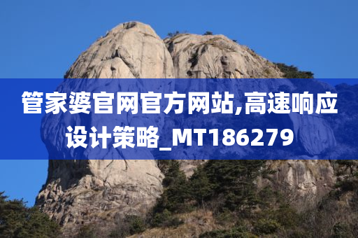 管家婆官网官方网站,高速响应设计策略_MT186279