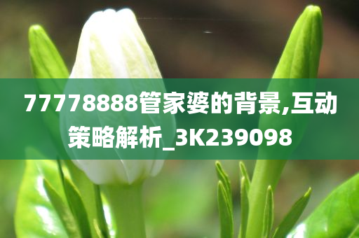 77778888管家婆的背景,互动策略解析_3K239098