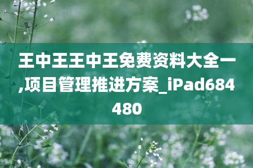 王中王王中王免费资料大全一,项目管理推进方案_iPad684480