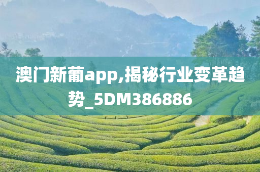 澳门新葡app,揭秘行业变革趋势_5DM386886