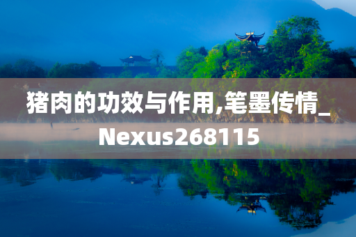 猪肉的功效与作用,笔墨传情_Nexus268115