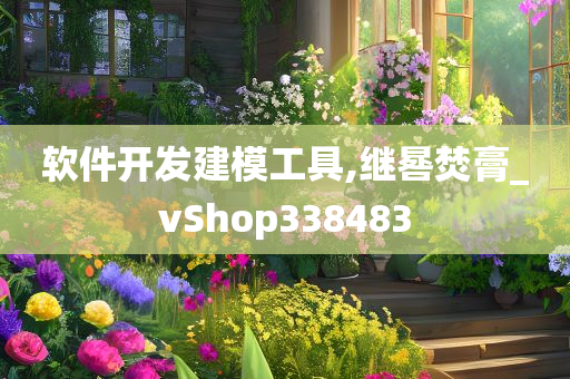 软件开发建模工具,继晷焚膏_vShop338483