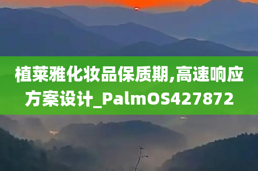 植莱雅化妆品保质期,高速响应方案设计_PalmOS427872