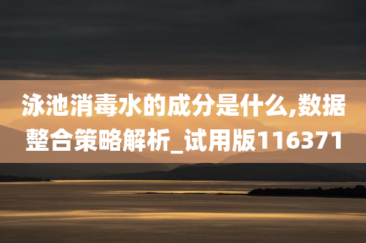 泳池消毒水的成分是什么,数据整合策略解析_试用版116371