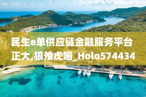 民生e单供应链金融服务平台 正大,狼飧虎咽_Holo574434