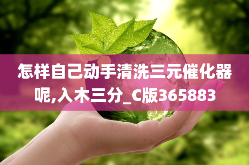 怎样自己动手清洗三元催化器呢,入木三分_C版365883