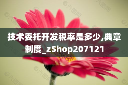 技术委托开发税率是多少,典章制度_zShop207121