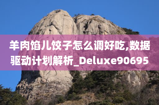 羊肉馅儿饺子怎么调好吃,数据驱动计划解析_Deluxe906950