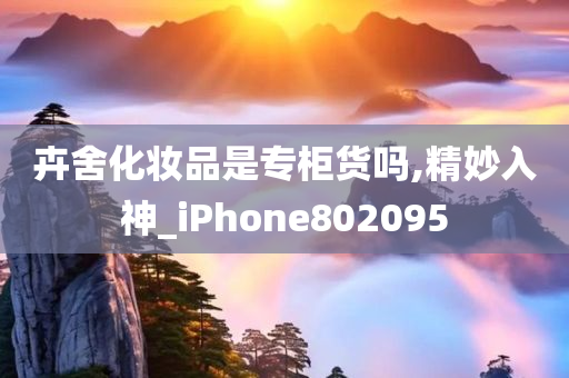 卉舍化妆品是专柜货吗,精妙入神_iPhone802095