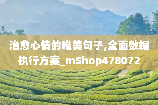 治愈心情的唯美句子,全面数据执行方案_mShop478072