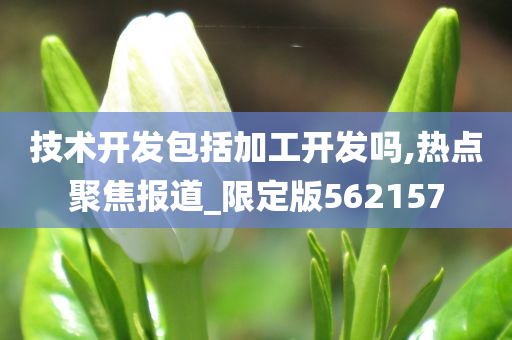 技术开发包括加工开发吗,热点聚焦报道_限定版562157