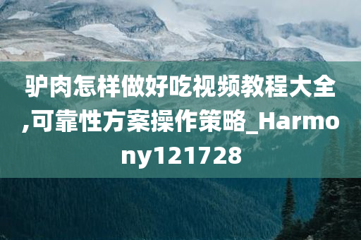 驴肉怎样做好吃视频教程大全,可靠性方案操作策略_Harmony121728