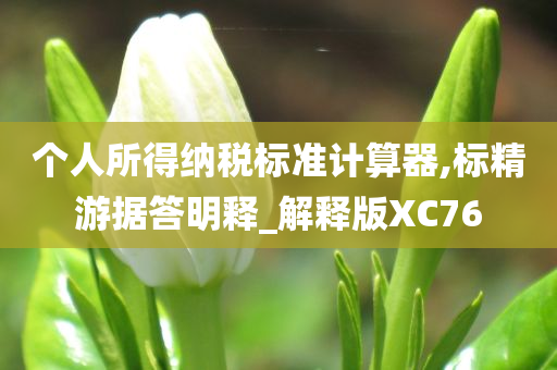 个人所得纳税标准计算器,标精游据答明释_解释版XC76