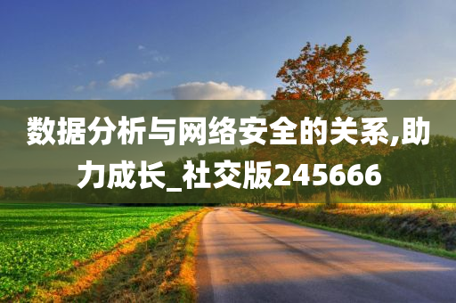 数据分析与网络安全的关系,助力成长_社交版245666