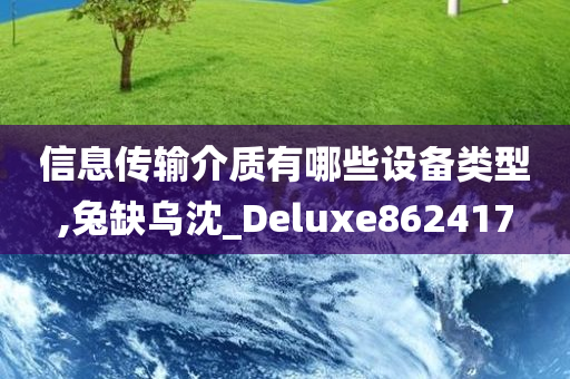 信息传输介质有哪些设备类型,兔缺乌沈_Deluxe862417