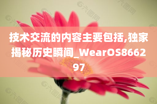 技术交流的内容主要包括,独家揭秘历史瞬间_WearOS866297