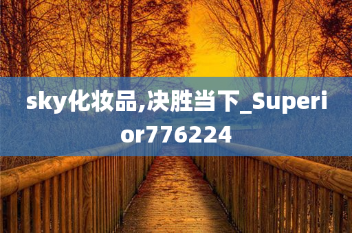 sky化妆品,决胜当下_Superior776224