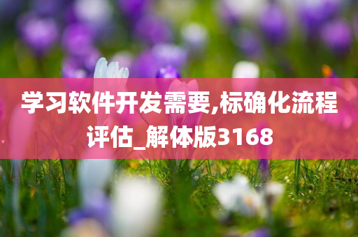 学习软件开发需要,标确化流程评估_解体版3168