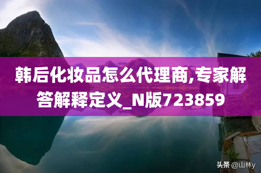 韩后化妆品怎么代理商,专家解答解释定义_N版723859