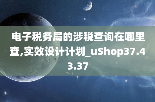 电子税务局的涉税查询在哪里查,实效设计计划_uShop37.43.37