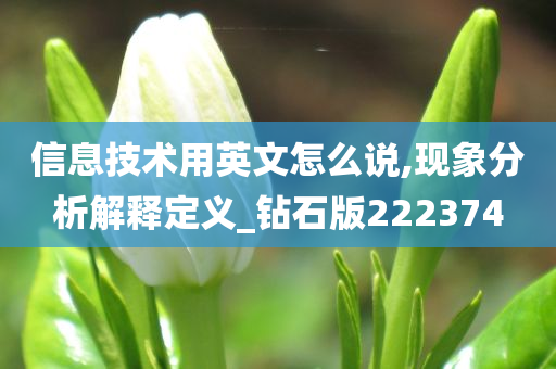 信息技术用英文怎么说,现象分析解释定义_钻石版222374