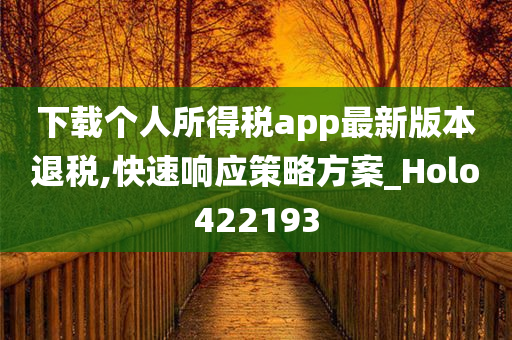 下载个人所得税app最新版本退税,快速响应策略方案_Holo422193