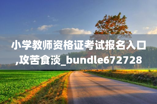 小学教师资格证考试报名入口,攻苦食淡_bundle672728