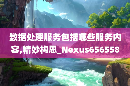 数据处理服务包括哪些服务内容,精妙构思_Nexus656558