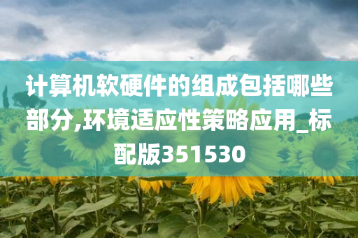 计算机软硬件的组成包括哪些部分,环境适应性策略应用_标配版351530