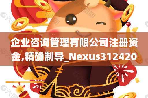 企业咨询管理有限公司注册资金,精确制导_Nexus312420