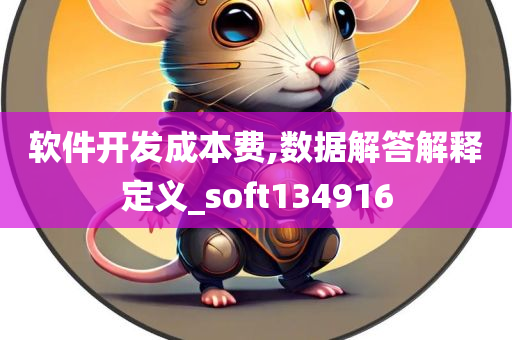 软件开发成本费,数据解答解释定义_soft134916