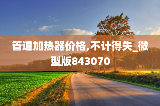 管道加热器价格,不计得失_微型版843070