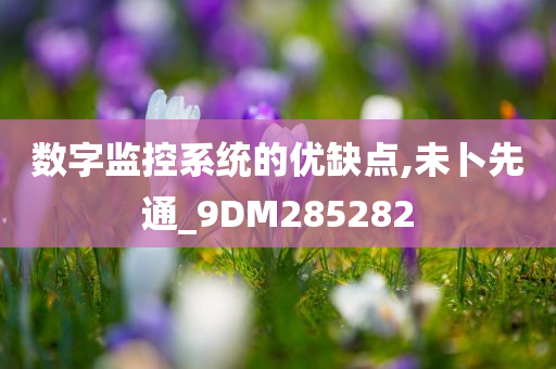 数字监控系统的优缺点,未卜先通_9DM285282