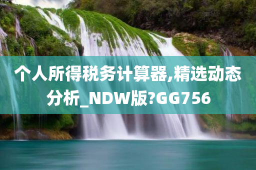 个人所得税务计算器,精选动态分析_NDW版?GG756