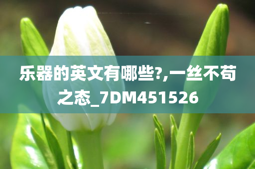 乐器的英文有哪些?,一丝不苟之态_7DM451526