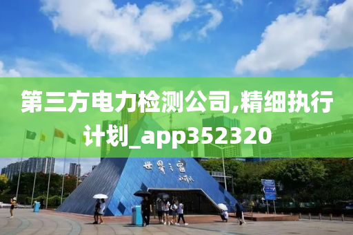 第三方电力检测公司,精细执行计划_app352320