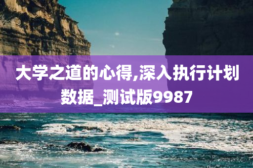 大学之道的心得,深入执行计划数据_测试版9987