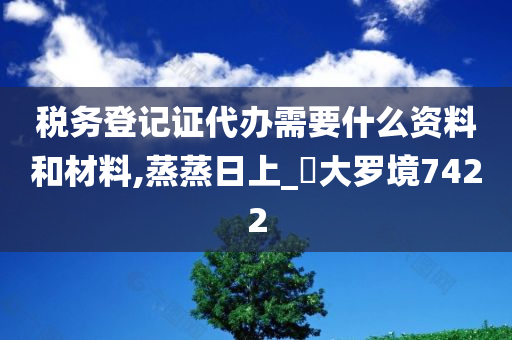 税务登记证代办需要什么资料和材料,蒸蒸日上_‌大罗境7422