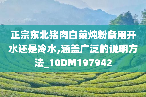 正宗东北猪肉白菜炖粉条用开水还是冷水,涵盖广泛的说明方法_10DM197942