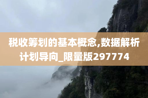 税收筹划的基本概念,数据解析计划导向_限量版297774