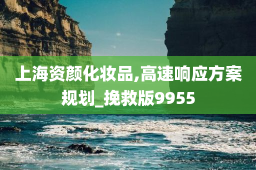 上海资颜化妆品,高速响应方案规划_挽救版9955