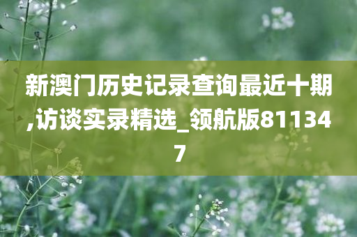 新澳门历史记录查询最近十期,访谈实录精选_领航版811347