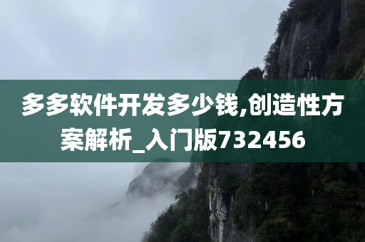 多多软件开发多少钱,创造性方案解析_入门版732456