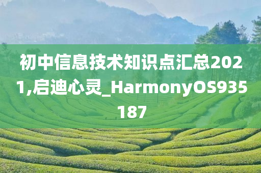 初中信息技术知识点汇总2021,启迪心灵_HarmonyOS935187